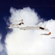 Illustration for article titled This may be the coolest, most futuristic bomber ever built